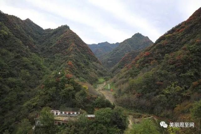  周至|周至有一种风景，叫青山红叶！