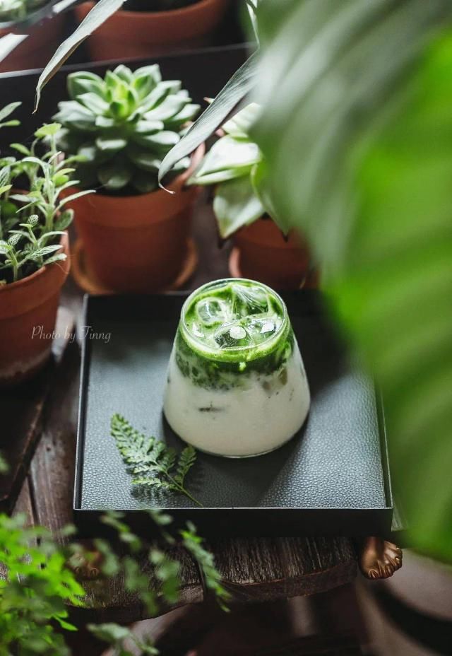  吊钟|她们的家，美得很让人种草