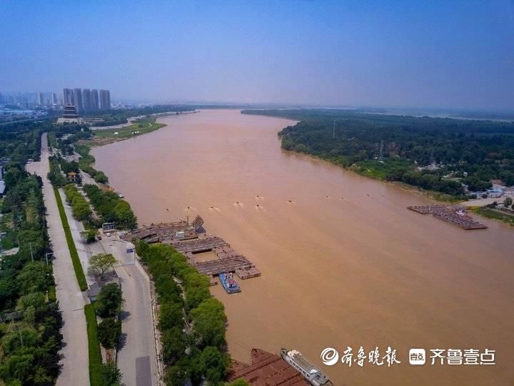 济南泺口黄河现大流量，水头浮桥拆除，调水调沙大水来了