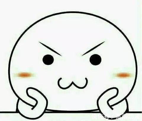  轮番|「净网2020」高考前后，这些骗局年年上演轮番“割韭菜”