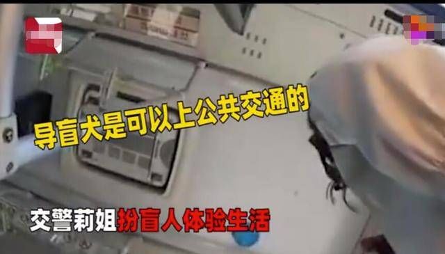 公交|“交警扮盲人带导盲犬乘车被拒”：曝光的不止无知，还有冷漠自私