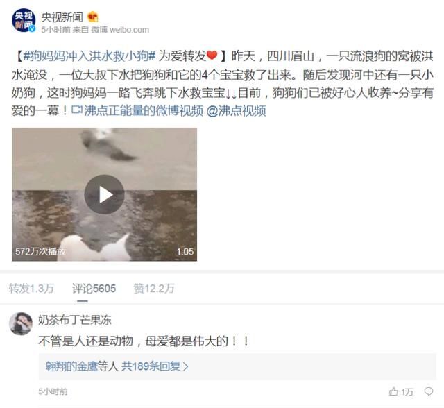  洪水|获12万点赞！狗妈妈冲入洪水救小狗，大叔、民警都来帮忙……网友：为母则刚