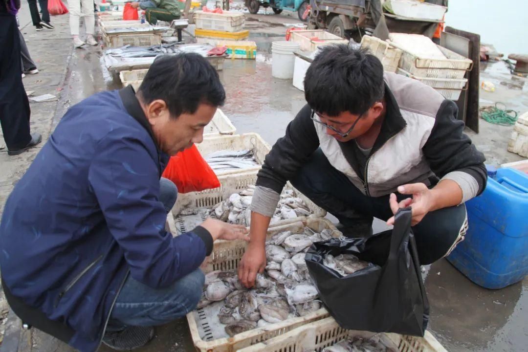 海鲜|实地探访！海鲜便宜了吗？你猜哪种海鲜卖得最火？