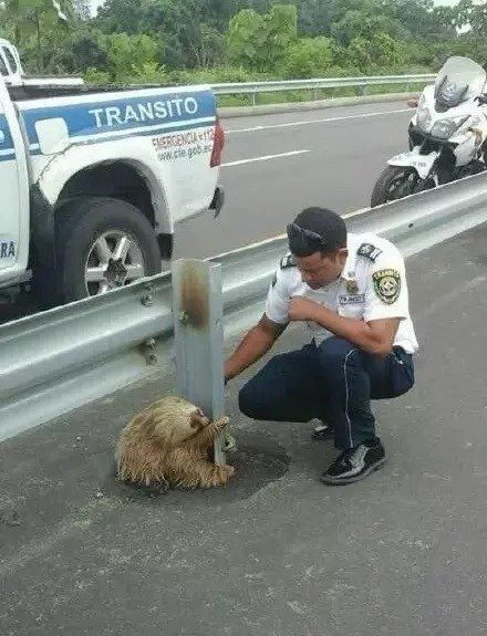 没输|“论家庭地位，我就从来没输过！”哈哈哈算不算给男人长脸了？