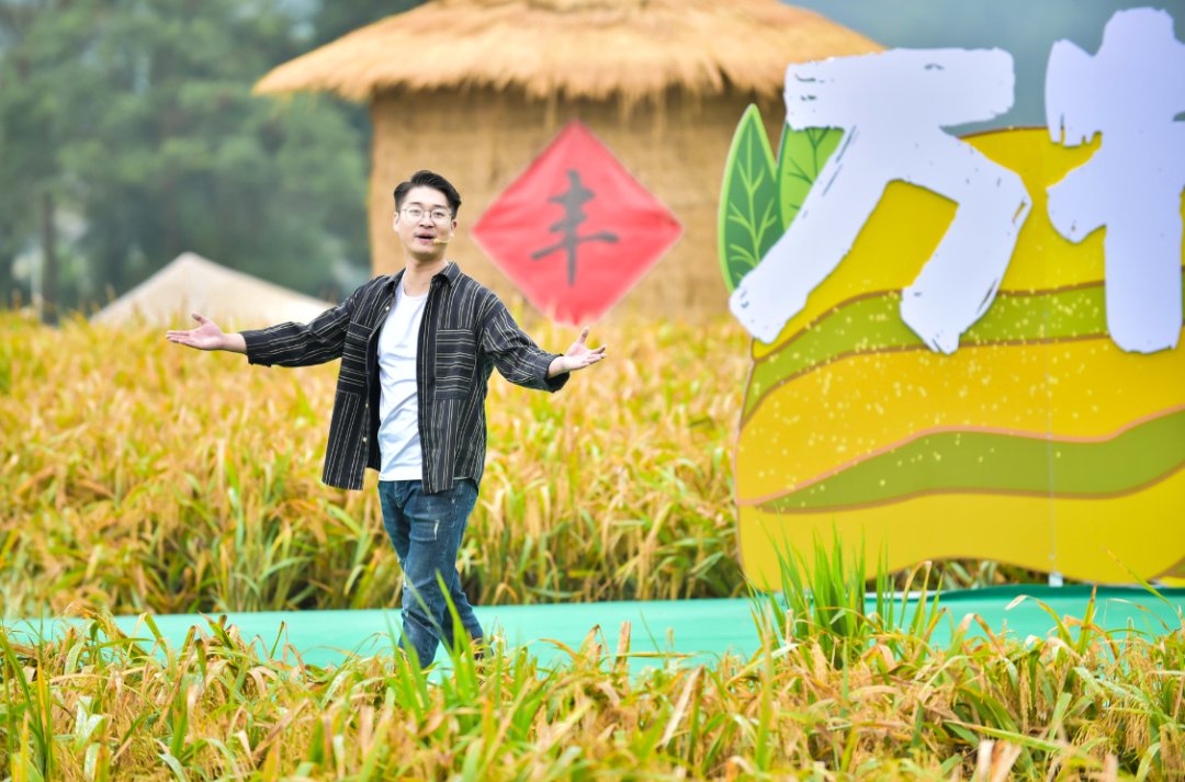 声音|假如丰收有声音，一定是这样婶儿的