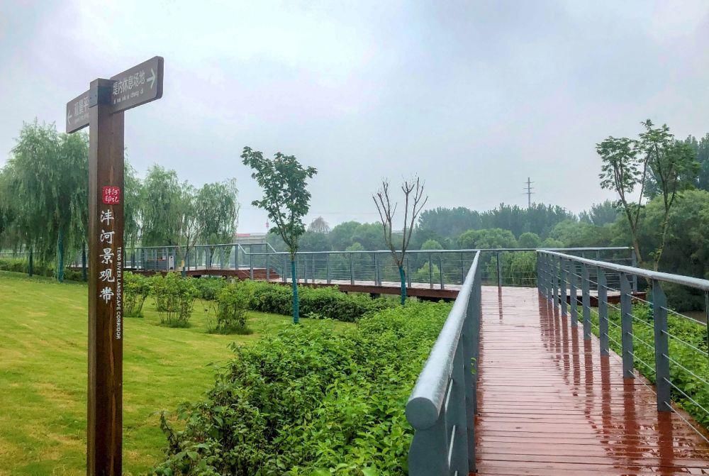 西咸|西咸新区沣河西岸：绿盖叠翠 风景如画