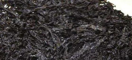 副作用|紫菜营养丰富价值高，能延缓衰老、美容养颜，多食有副作用