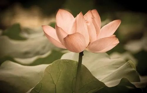 人生|福彩杂谈：保持良好心态，拥抱精彩人生