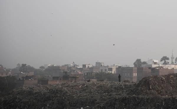  受伤|受伤的文明：印度