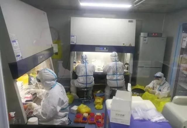  大白|谢谢你，大连“大白”！让我们一起守护大连