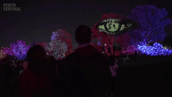 友好城市|青年友好城市营造 | 听说了吗?武侯区也能看极光啦