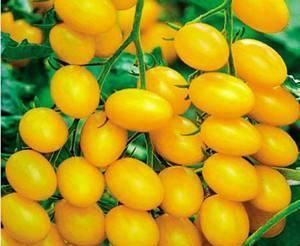  延年益寿|聪明人都在吃3种食物，补血养气、延年益寿，爱吃就赚了！