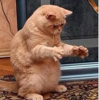  不服气|小彩说天气丨秋雨要连绵！这份吃瓜地图有点小不服气