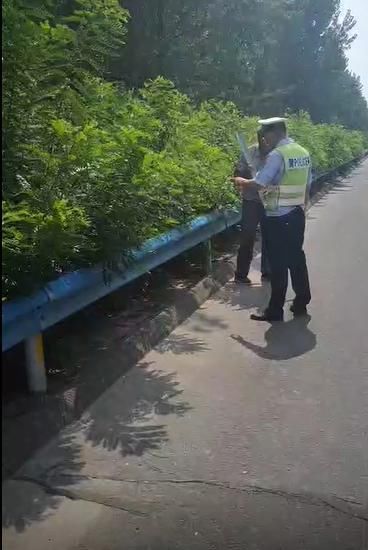  瘫坐|高温下七旬老人迷失高速路，瘫坐地上欲昏迷，高速交警帮他回了家