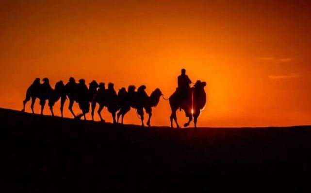 额济纳旗|【阅读】有一种心动,叫额济纳的秋天