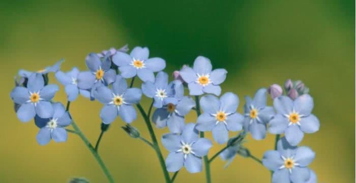  前程|8月开始事业前程光明，喜事一桩接一桩，终于苦到头的四大生肖