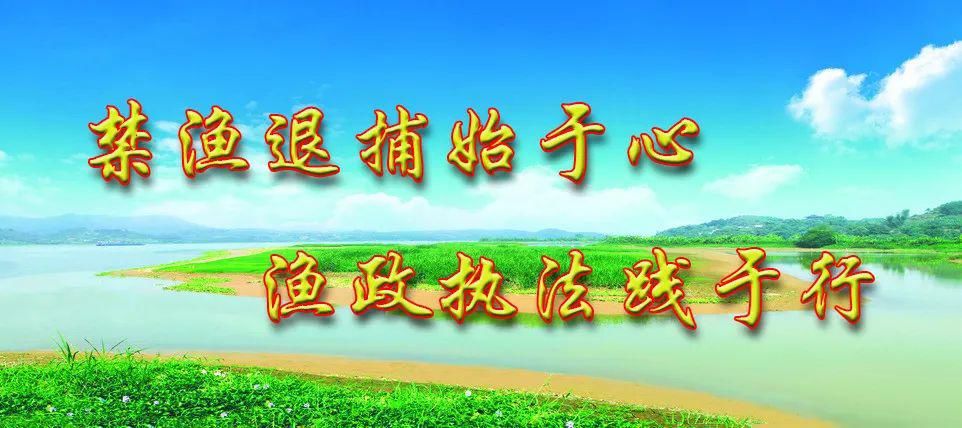 行驶|四城同创 | 提醒！这样做逮到要“遭”起