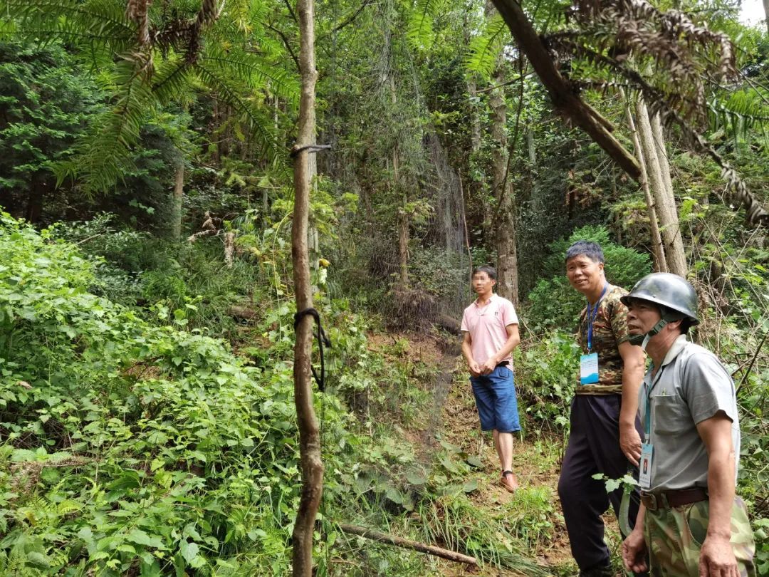  男子|国家级自然保护区内撒网捕鸟，一男子被当场抓获
