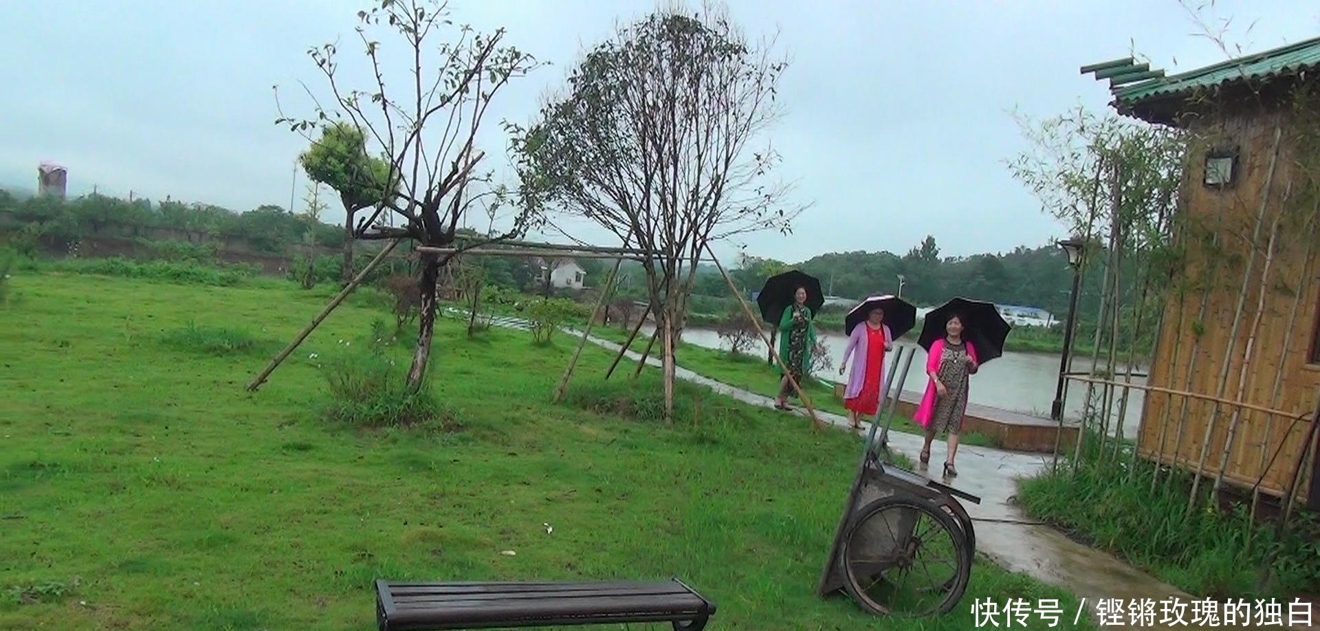  八中|马鞍山八中74届高中女生模特团：南京江宁竹庄生态园雨中走秀（音乐相册）