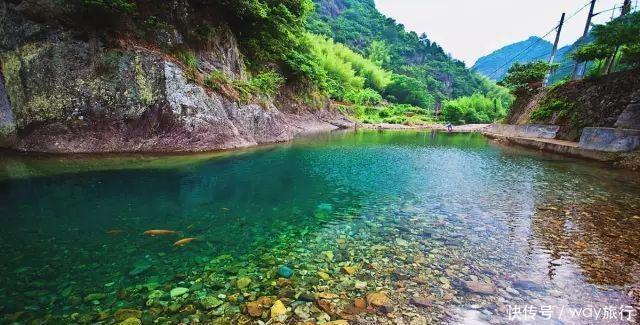 森林|高温席卷的初夏,不如去这些堪比童话仙境的小众森林里乘个凉!