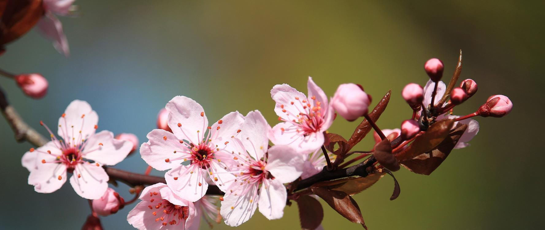 事业|7月份,升官发财的四个生肖,泰来否往,事业如鱼得水