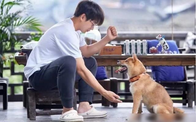  温情|《向往的生活》温情收官，宋丹丹再现心火烧，排练节目欢送老狼