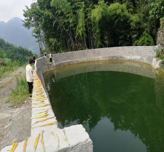 黄永红|关注｜“小水利”黄永红