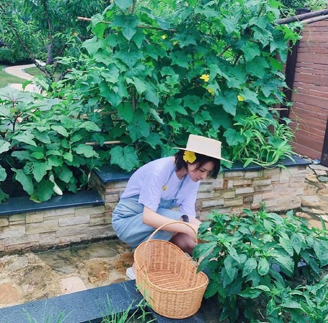  军人|有种变化叫嫁给军人的张馨予，何捷一点没变，张馨予却已判若两人