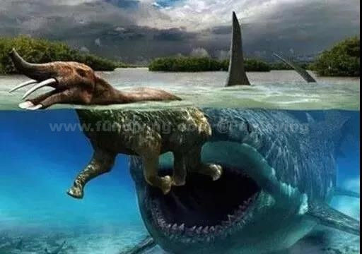 邓氏鱼|史前十六大海洋巨兽,他们才是真正的海怪!