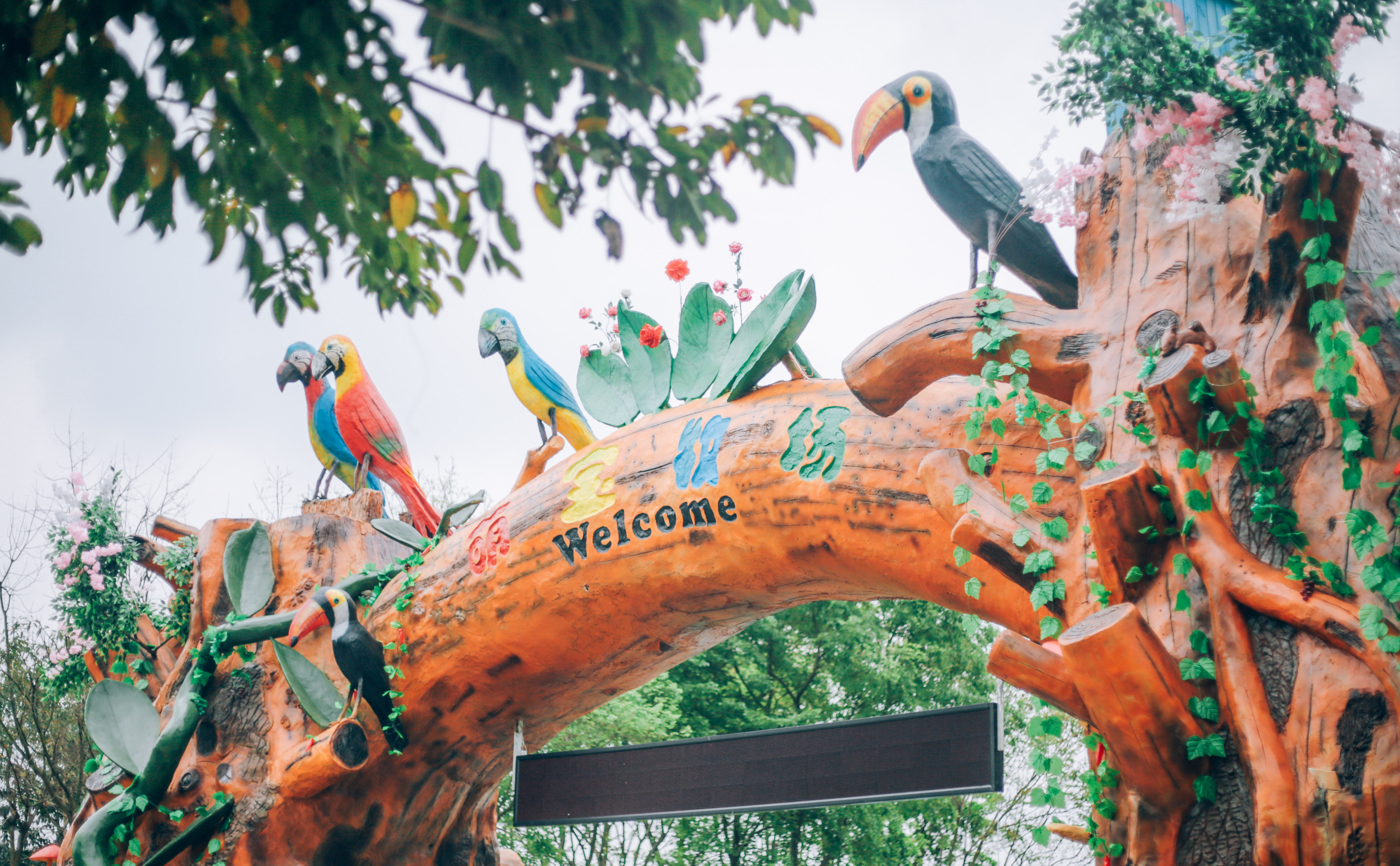 记录一下|成都,撑肚!成都的旅途中,少不了美食的“浓墨重彩”