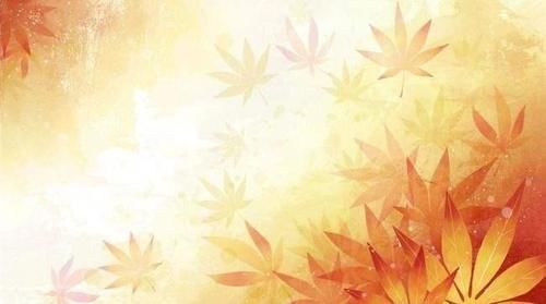 喜欢|咸淡人生各有味