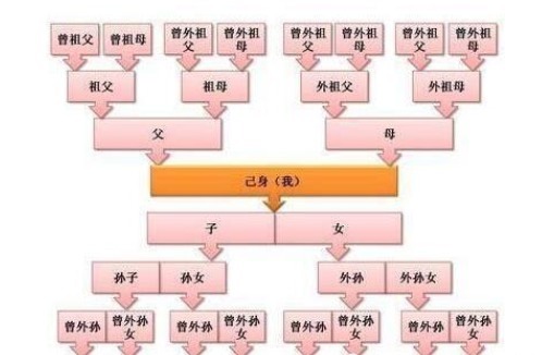 摄像头|古代没有定位系统和摄像头,为什么被诛九族的人不选择逃跑呢?