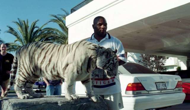  全过程|老虎7年后与救命恩人重逢，将女子扑倒在地，镜头记录下全过程！