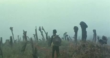  陈凯歌|陈凯歌，你真不简单啊