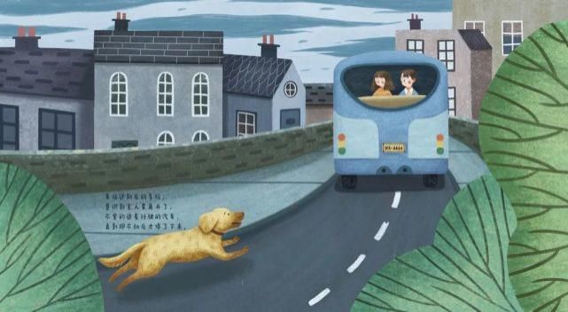  时光|绘本鉴赏 | 《我和多拉》时光静好，陪你长大~