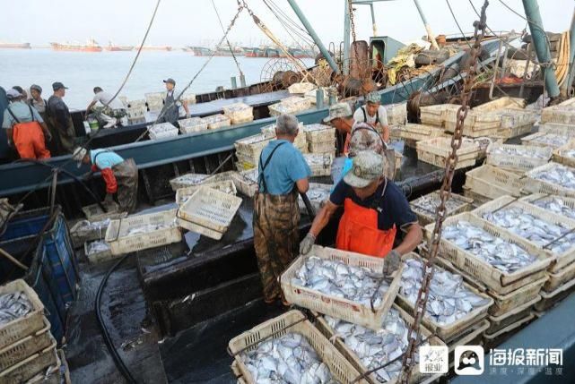 每斤|海鲜价格曝光！记者探访海鲜市场！开海后，螃蟹竟……