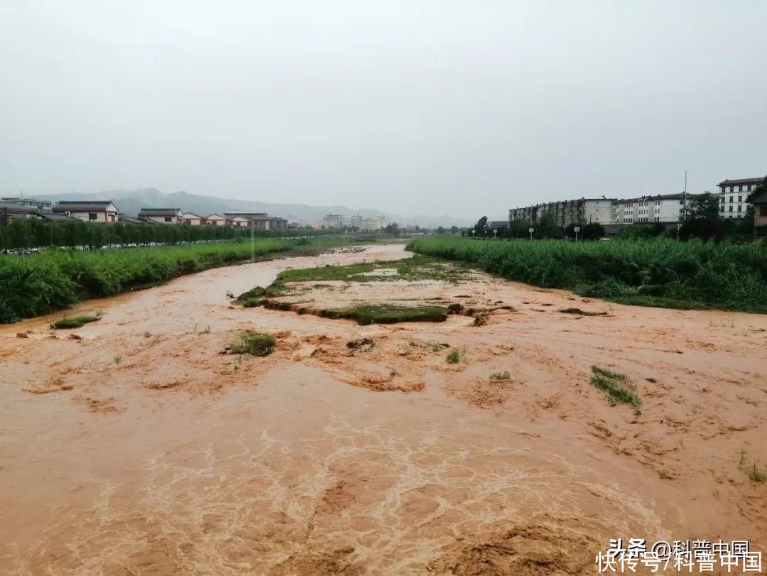 暴雨洪灾后如何预防传染病(暴雨洪灾后，如何预防传染病？这4点要注意！)
