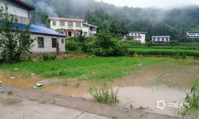 山体|四川绵阳强降雨 城市内涝山体滑坡阻断通行