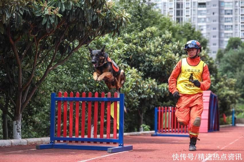 昆明“火焰蓝”硬核比武“燃”动盛夏