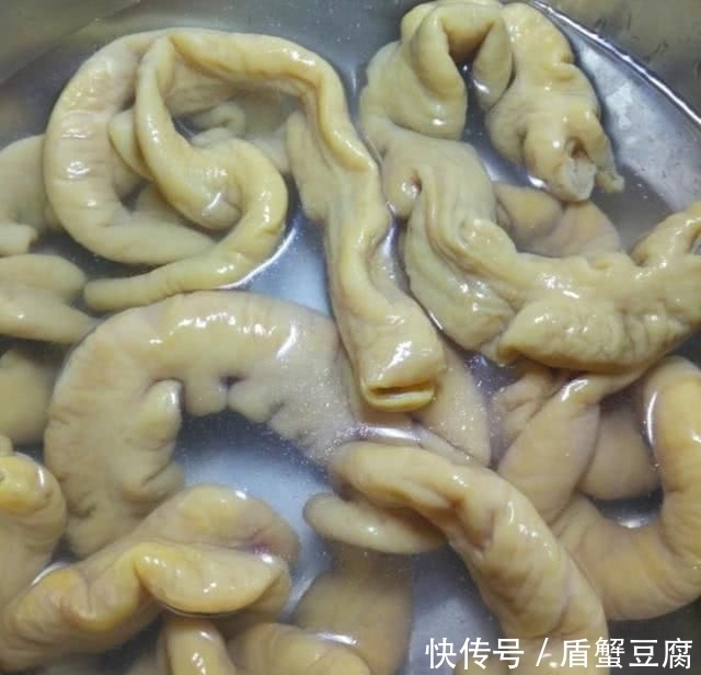 凉拌|可以直接切着吃,也可以炒着吃,还可以凉拌吃,满足各种的口味