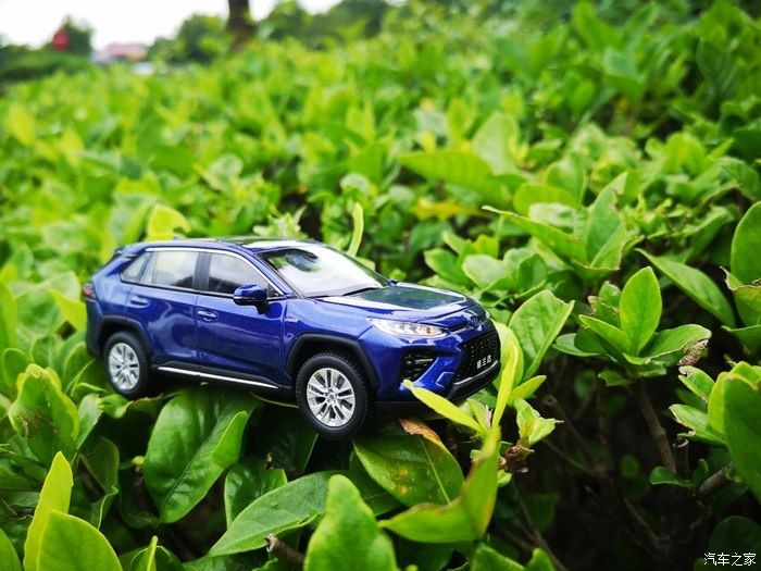 拍摄|拥有威兰达车模,绽放花丛中,说说感受