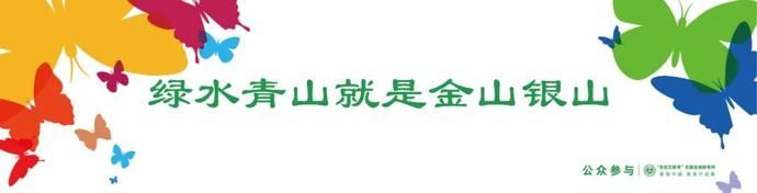  地铁|2019优秀生态环境宣传产品 ｜《“生态文明号”地铁专列海报——公众参与》（河北）