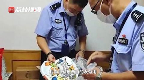 上海|阿姨办上海迪士尼年卡多次入园盗窃:称是个人爱好,已被刑拘