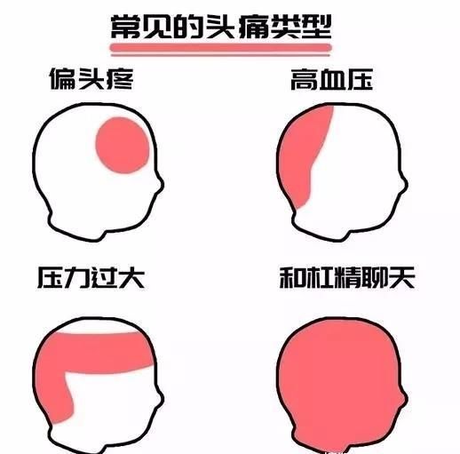  至高境界|十二星座中，有哪几个星座，是最喜欢抬杠的“杠精”？