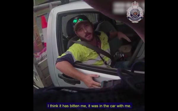 眼镜蛇|遭“拟眼镜蛇”攻击!男子以为中剧毒快死,时速123公里赶到往医院!