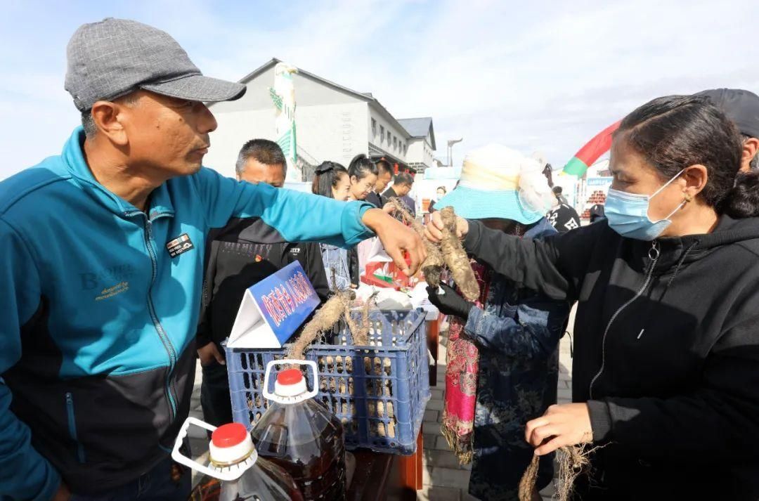 大兴安岭|兴安大地泛“金浪”，丰收的号角已吹响！