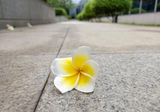  捧上天|鱼龙混杂？被手游党捧上天的新机真有那么香吗？