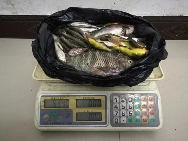  没收|顶风作案！禁渔期百色这13人非法电鱼，没收各种捕捞工具