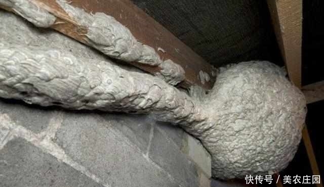 管道|男子看见房子外面墙壁上有奇怪管道,仔细一看赶忙向同志求助