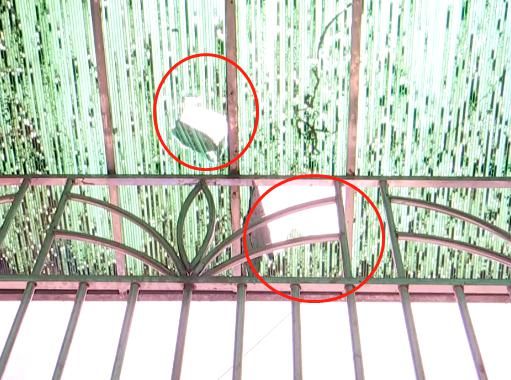  监控|又来！！这次坠下“活的”！业主调监控一看，更生气.....